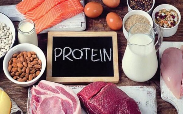 protein là gì